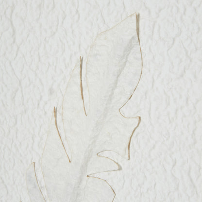 Les Vans White 3 Feathers Art Mounted In Beaded Frame