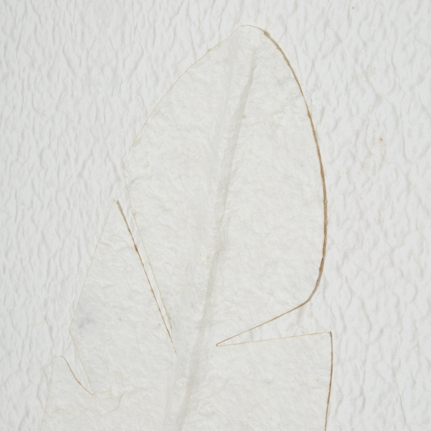 Les Vans Large White Embossed Feather In Natural Wooden Beaded Frame