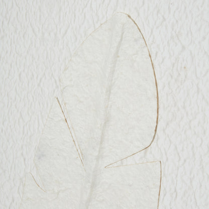 Les Vans Large White Embossed Feather In Natural Wooden Beaded Frame