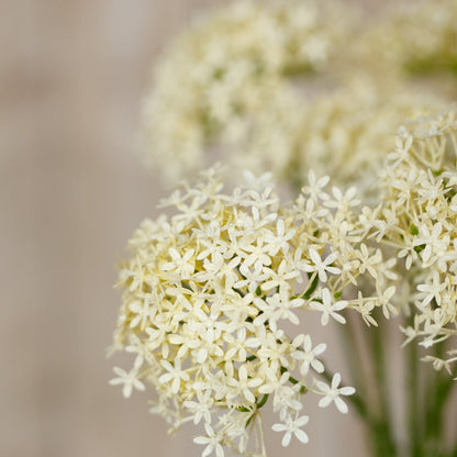 Set of 3 Artificial Flowers Three Head Cream Allium Sprays