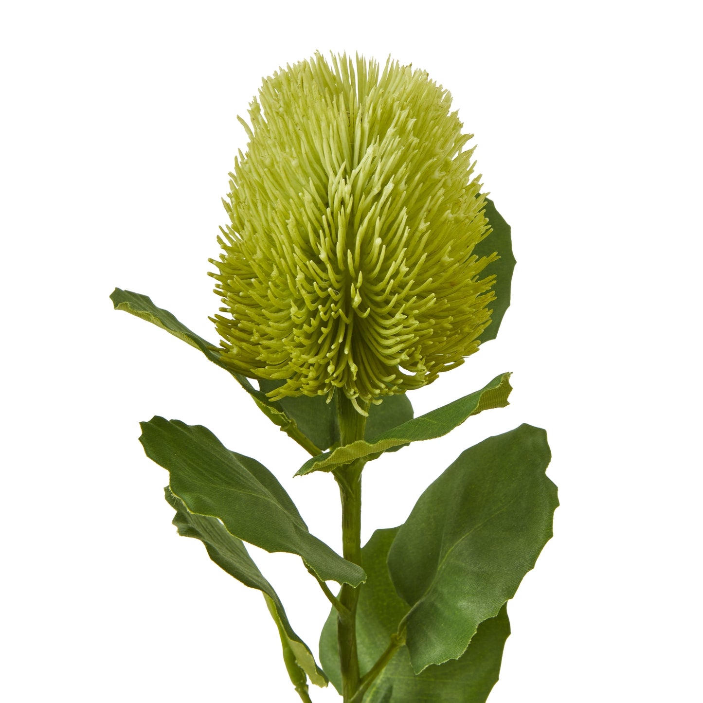 Set of 3 Artificial Flowers Green Banksia Stems