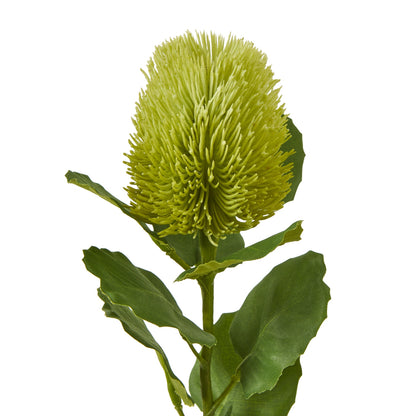 Set of 3 Artificial Flowers Green Banksia Stems
