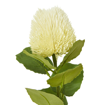 Set of 3 Artificial Flowers Cream Banksia Stems
