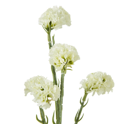 Set of 3 Artificial Flowers Cream Statice Sprays