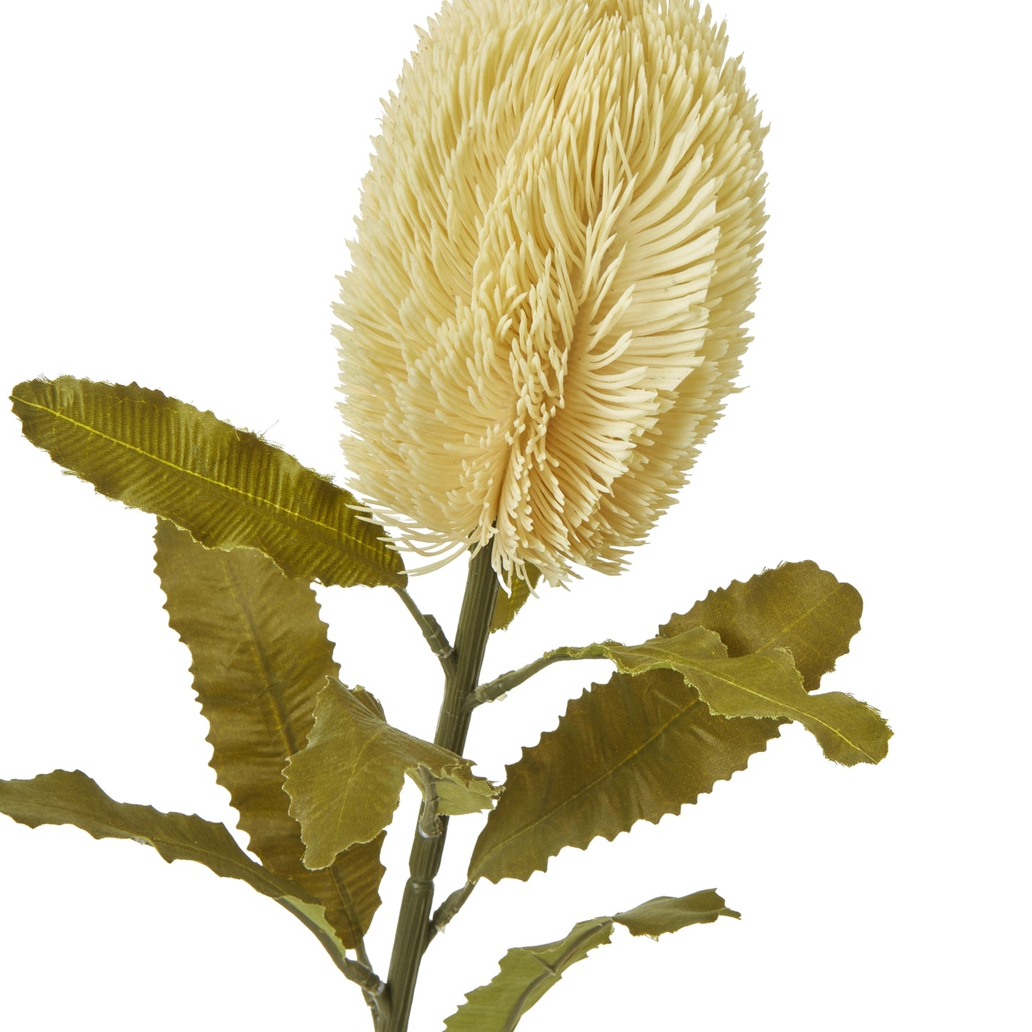Set of 3 Artificial Flowers Large Cream Banksia Serrata Stems