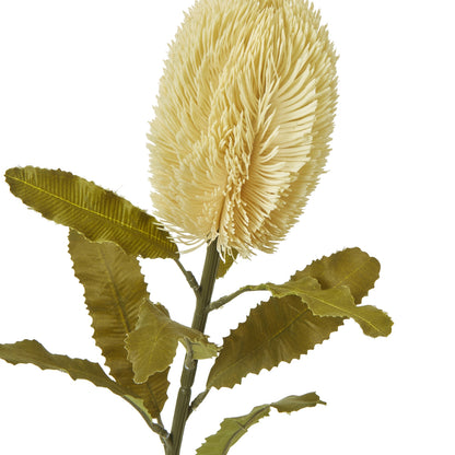 Set of 3 Artificial Flowers Large Cream Banksia Serrata Stems