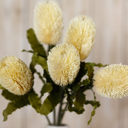 Set of 3 Artificial Flowers Large Cream Banksia Serrata Stems