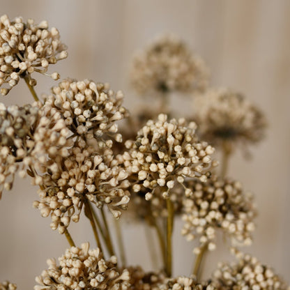 Set of 3 Artificial Flowers Brown Allium Sprays