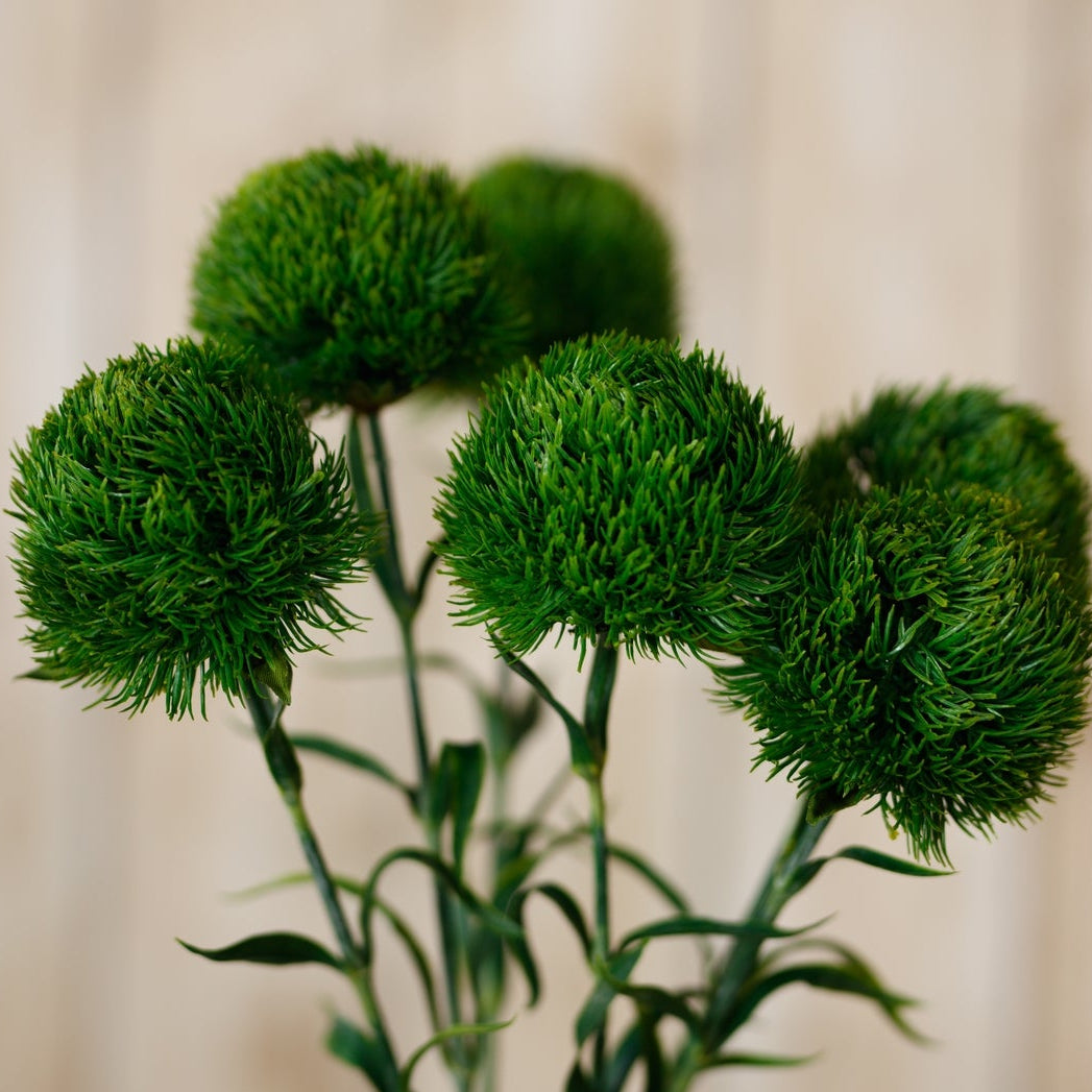 Set of 3 Artificial Flowers Dark Green Dianthus Stems