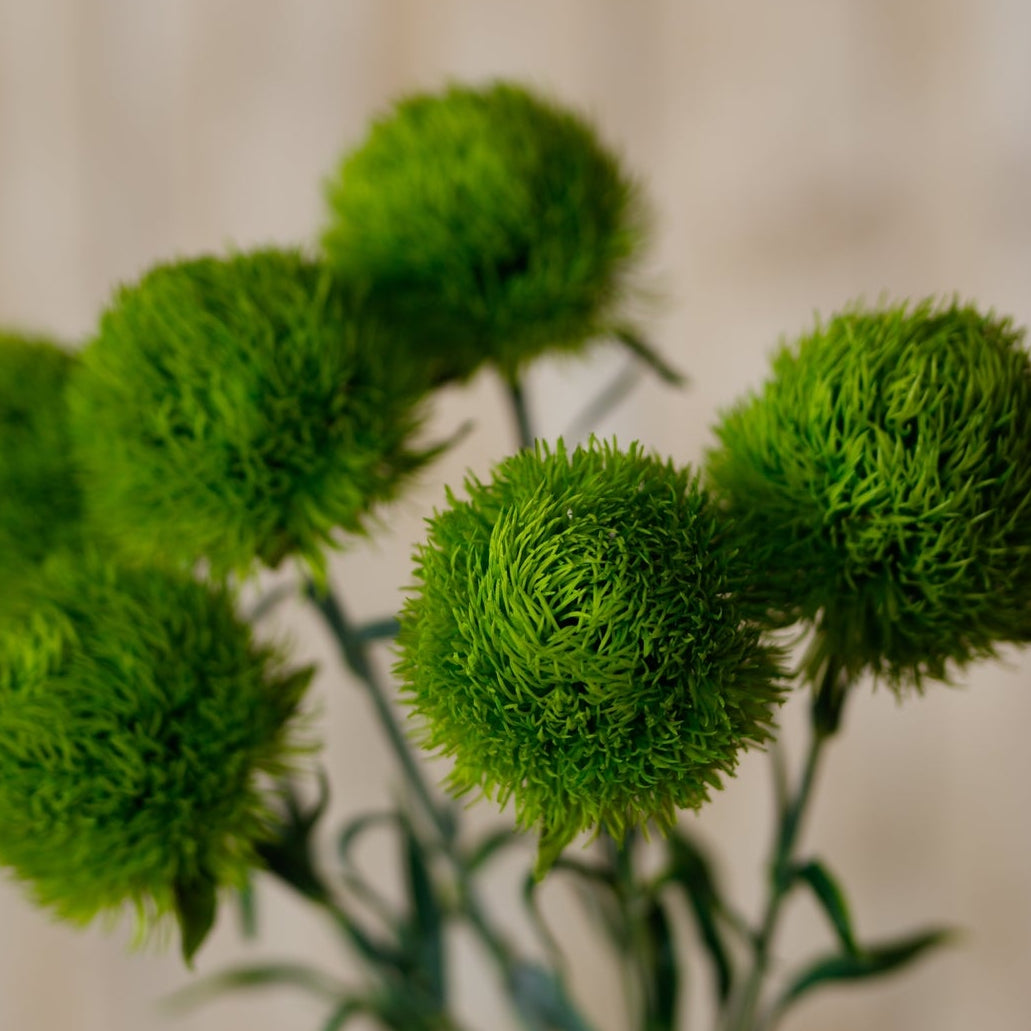 Set of 3 Artificial Flowers Light Green Dianthus Stems