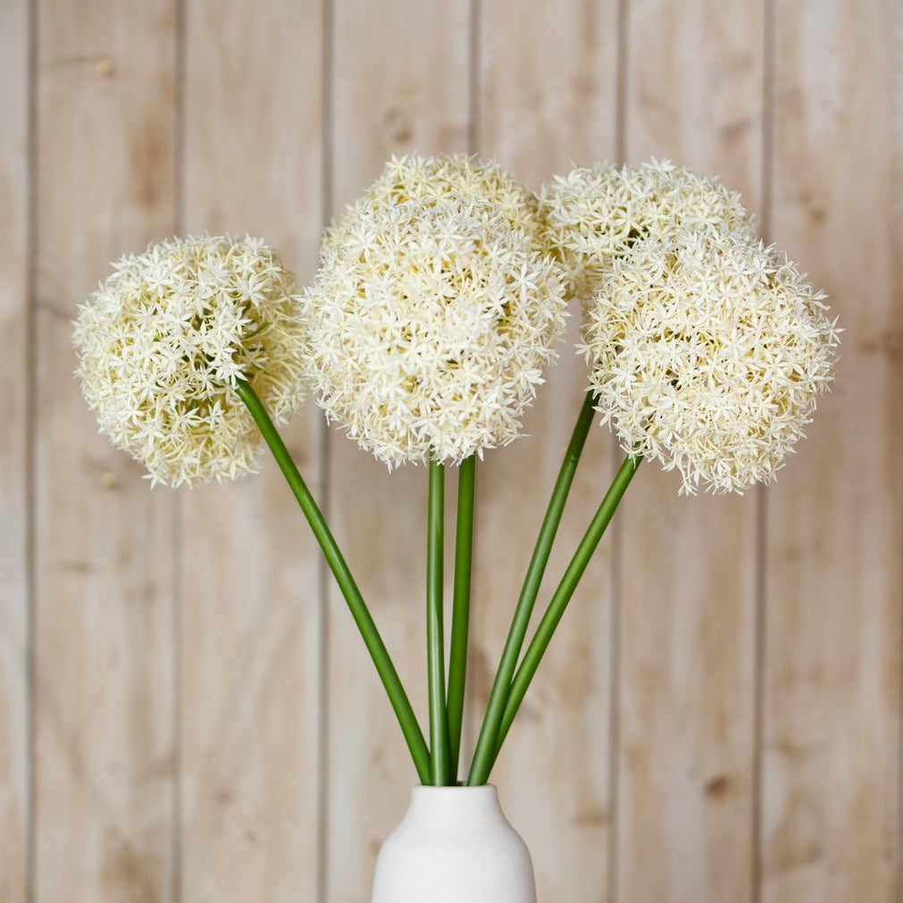 Set of 3 Artificial Flowers Cream Giant Allium Stems