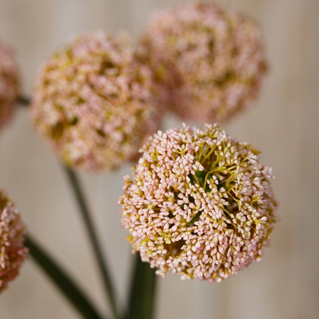 Set of 3 Artificial Flowers Pink Allium Stems