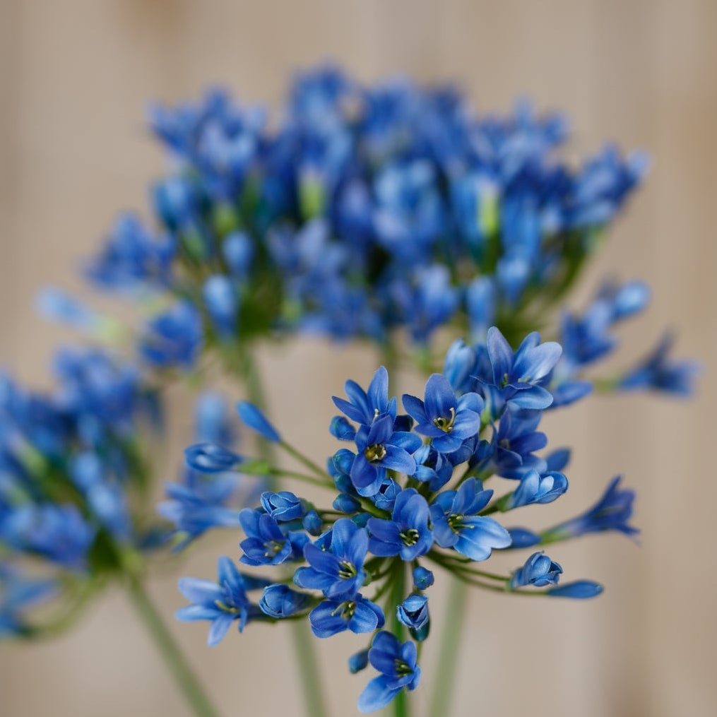Set of 3 Artificial Flowers Blue Agapanthus Stems