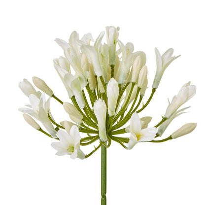 Set of 3 Artificial Flowers Cream Agapanthus Sprays