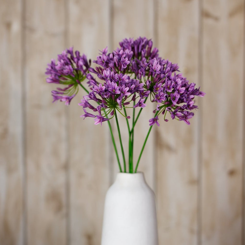 Set of 3 Artificial Flowers Lilac Agapanthus Sprays