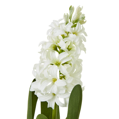 Set of 3 Artificial Flowers White Hyacinth Stems