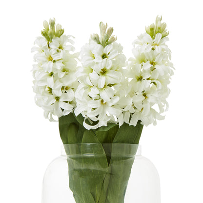Set of 3 Artificial Flowers White Hyacinth Stems