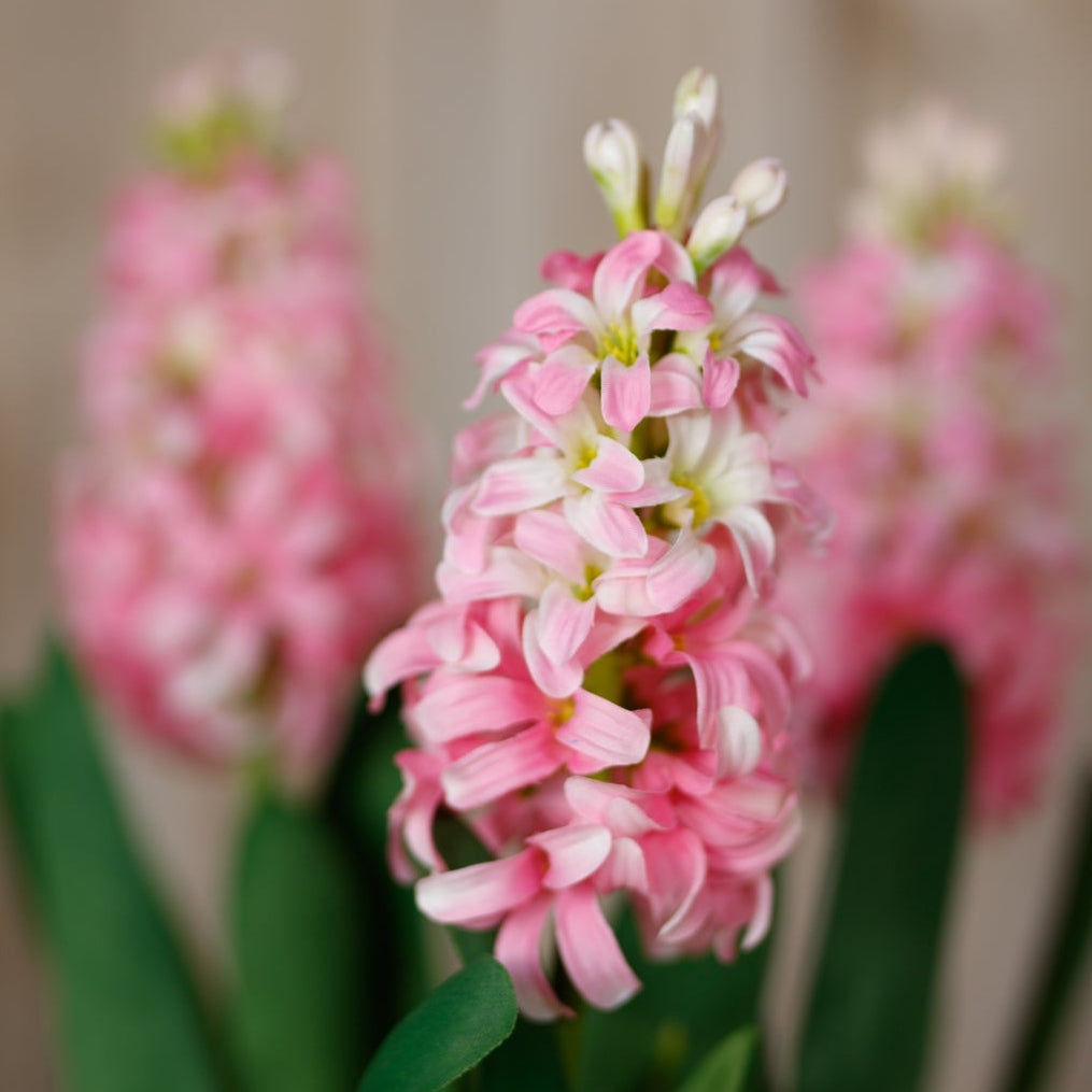 Set of 3 Artificial Flowers Pink Hyacinth Stems
