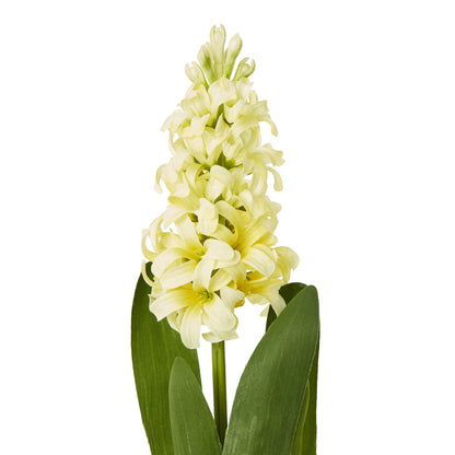 Set of 3 Artificial Flowers Yellow Hyacinth Stems