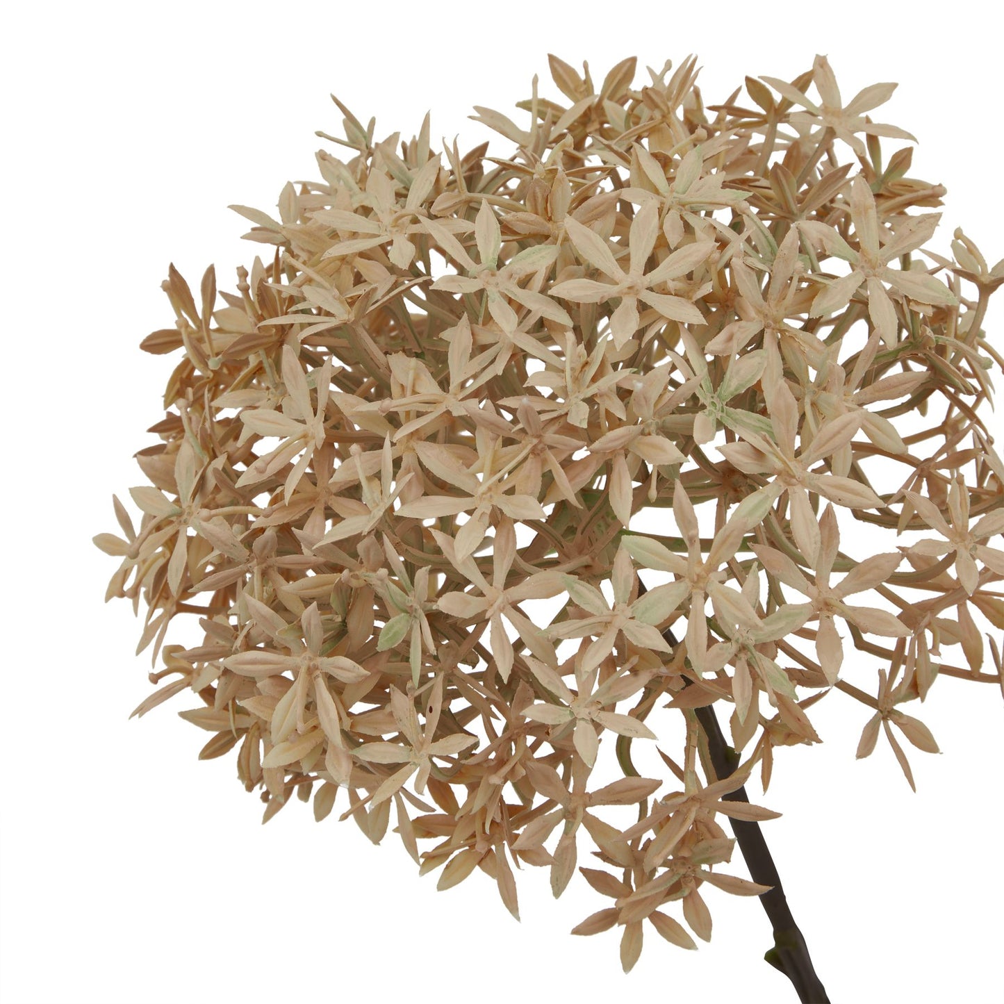 Set of 3 Artificial Flowers Coffee Allium Stems