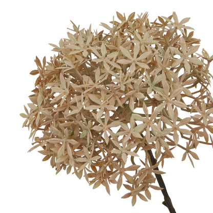 Set of 3 Artificial Flowers Coffee Allium Stems