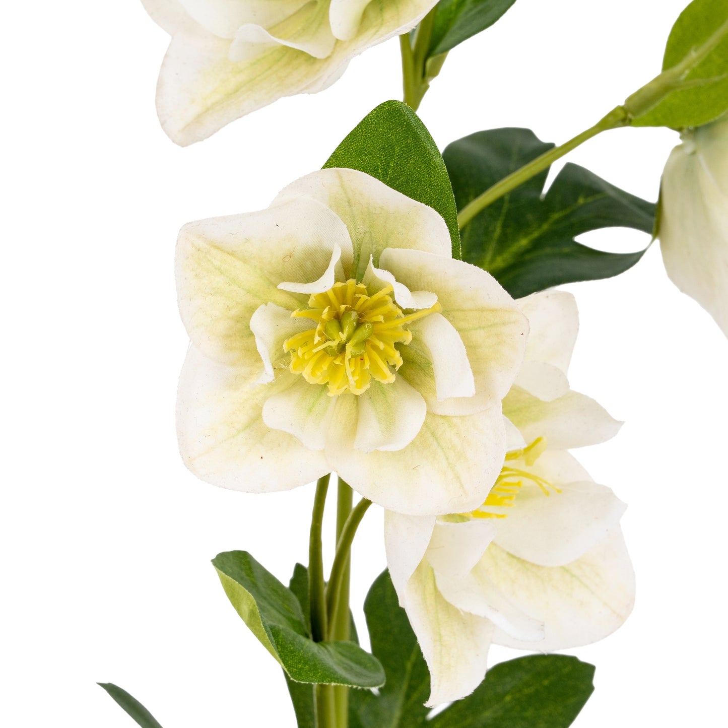 Set of 3 Artificial Flowers White Hellebore Stems