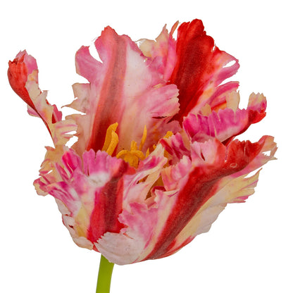 Set of 3 Artificial Flowers Multi Pink Parrot Tulip Stems