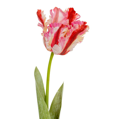 Set of 3 Artificial Flowers Multi Pink Parrot Tulip Stems