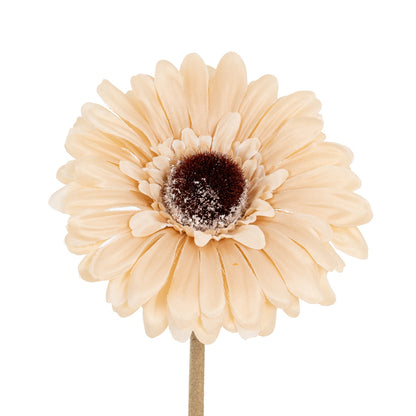 Set of 3 Artificial Flowers Cream Gerbera Stems