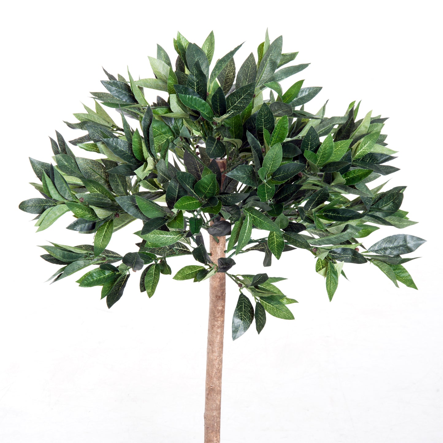 Miva Set Of 2 Artificial Olive Style Trees In Green With Orange Pots