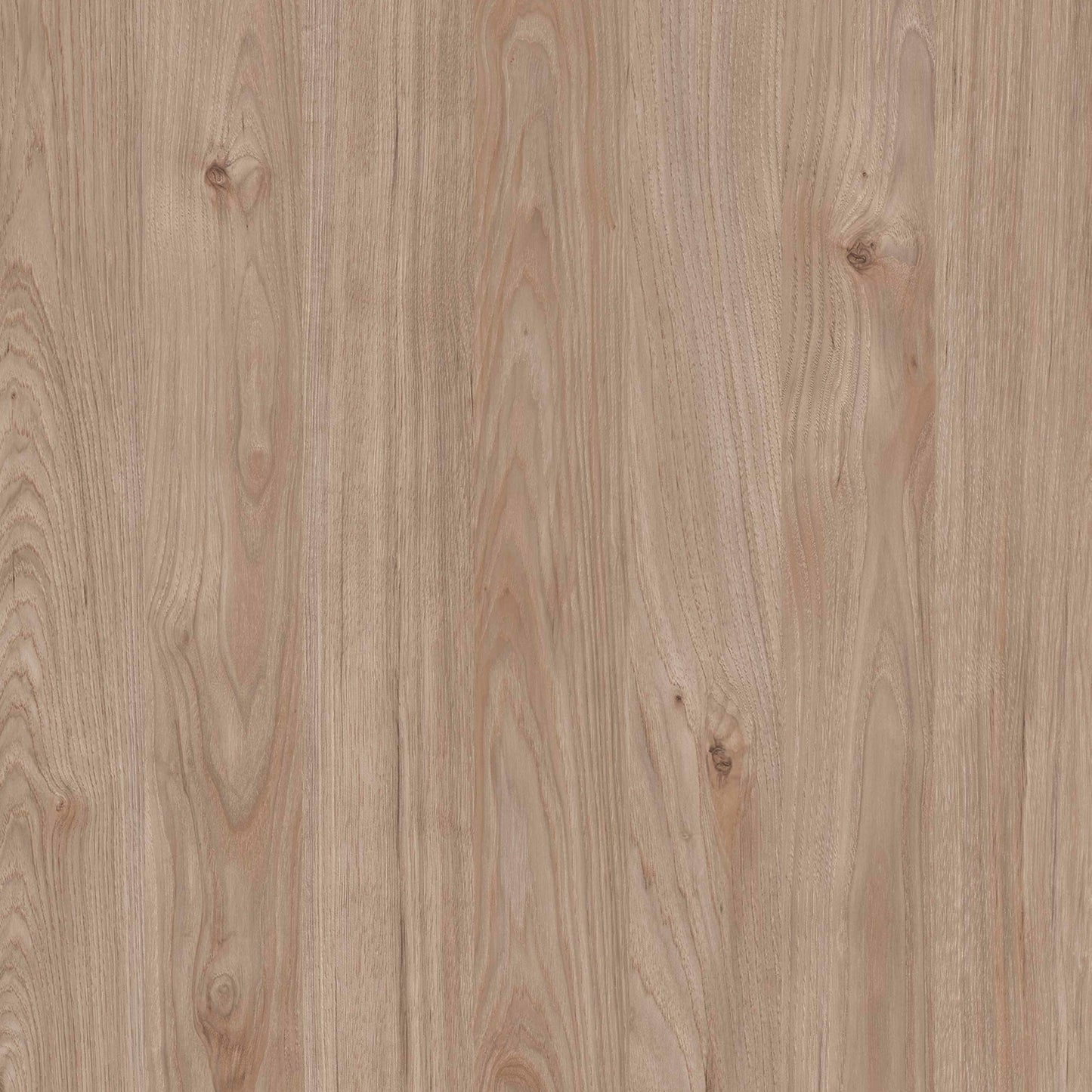 Tao Natural Oak Effect and White TV Unit 2 Sliding Doors