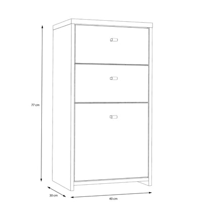 Willowmere Vintaeg Wood Chest Storage Cabinet 2 Drawers 1 Door