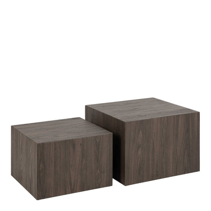 Munkebo Dark Brown Square Coffee Table Set of 2