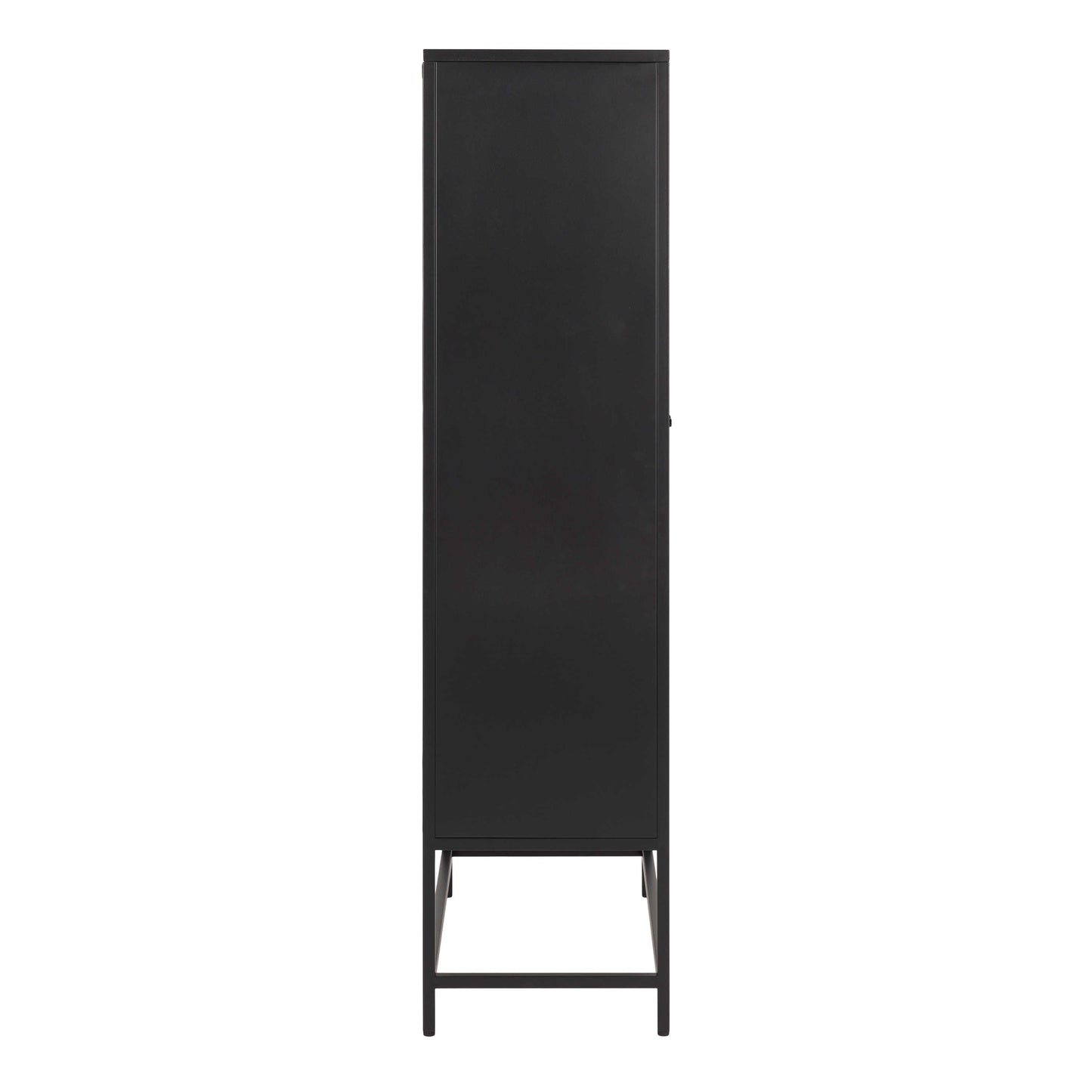 Graz Matt Black Metal Cabinet 2 Doors