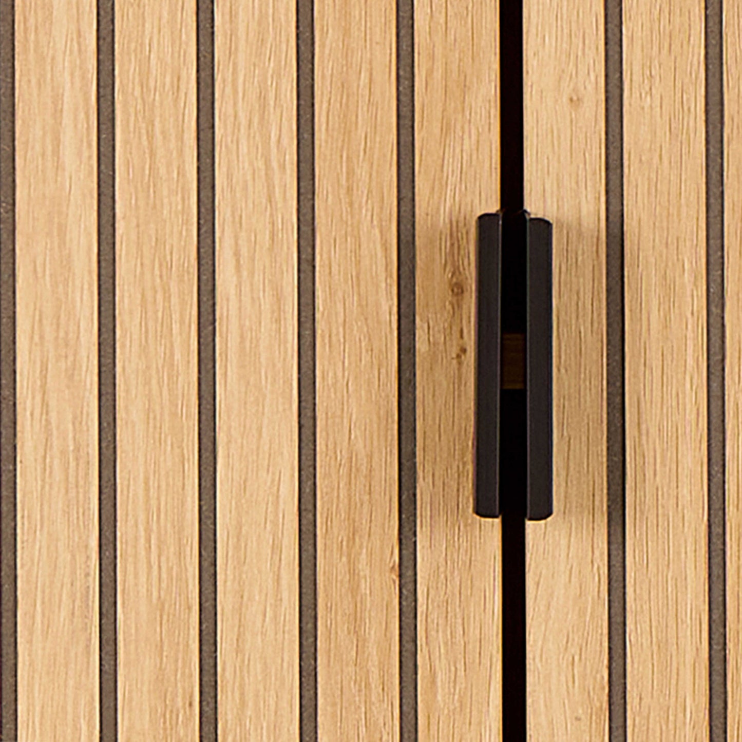 Jaipur Cabinet 2 Doors 3 Shelves With Oak Lamella Front