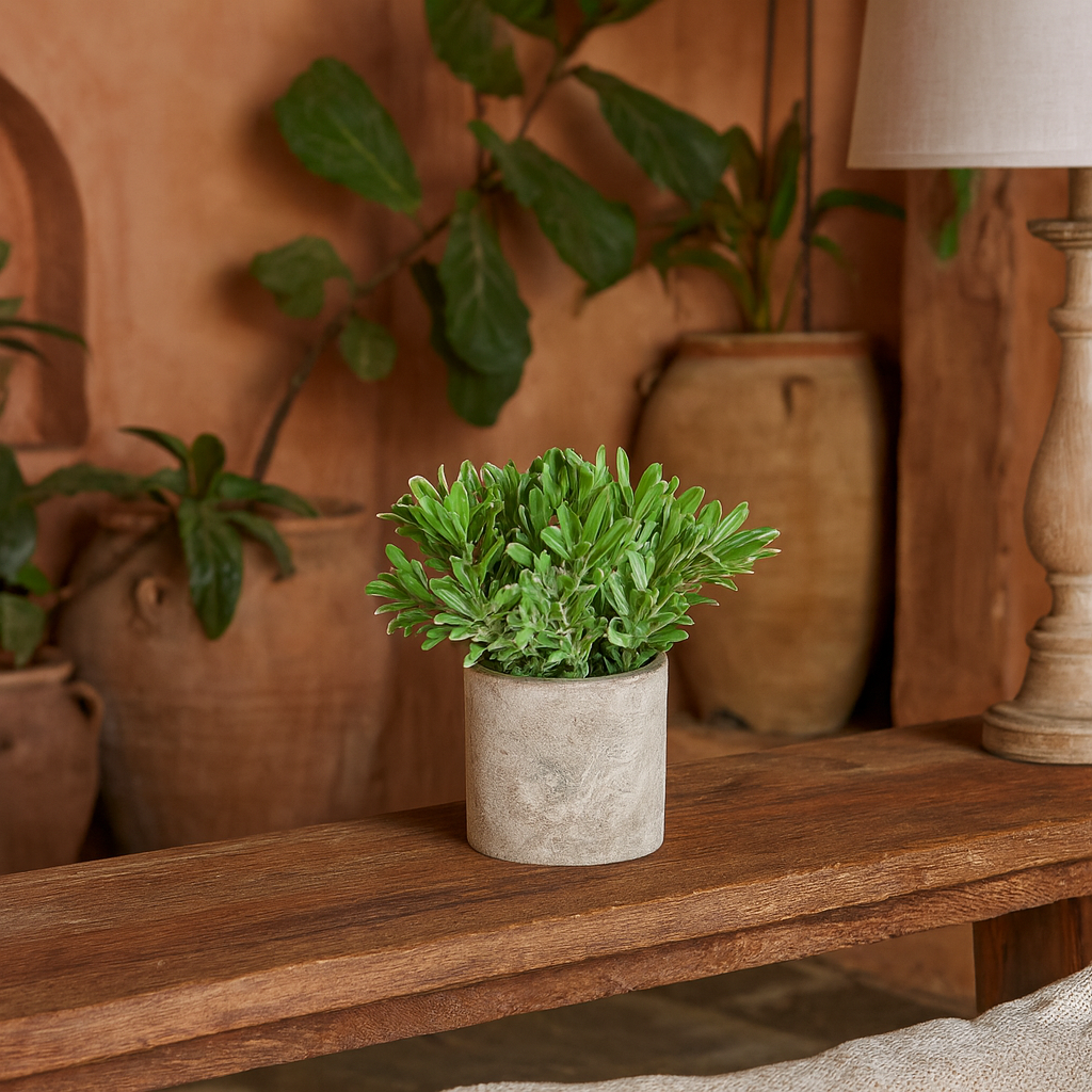 Buxus Artificial Plant In Stone Effect Pot