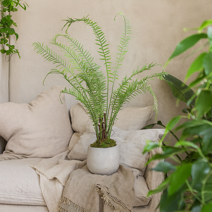 Artificial Boston Fern Plant with White Ceramic Pot