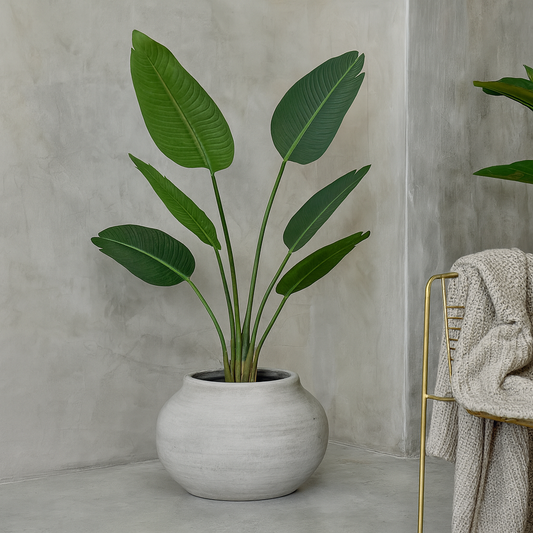 Miami Coastal Soft Grey Stoneware Ceramic Planter