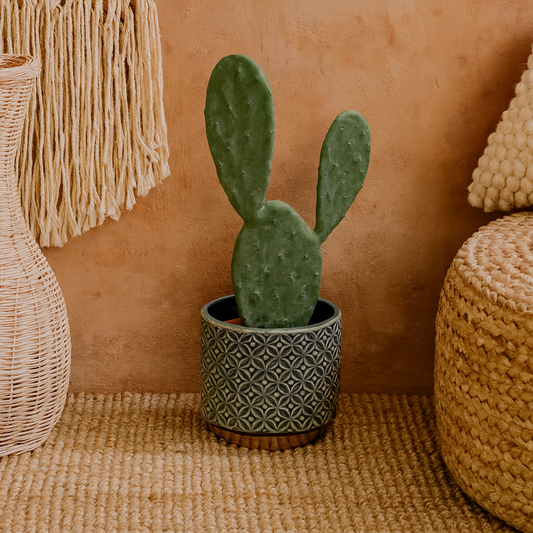 Portland Grey Lebes Pattern Ceramic Planter