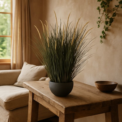 50cm Grass Plant (pot not included)