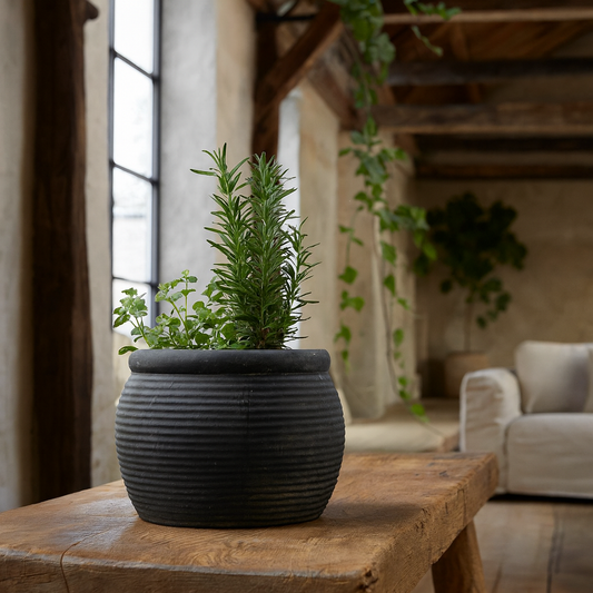 Small Dark Grey Etched Round Ceramic Plant Pot