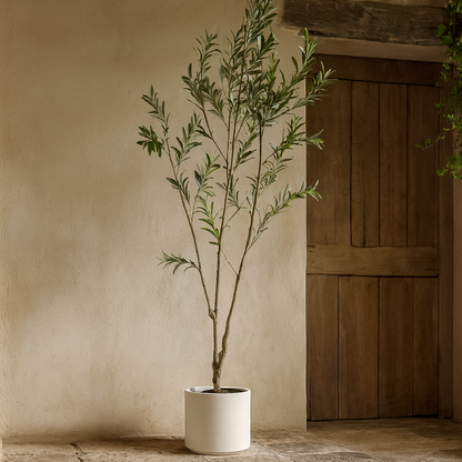 210cm Tall Mediterranean  Artificial Olive Tree In White Ceramic Pot