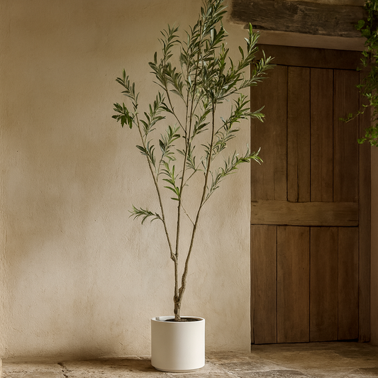 210cm Tall Mediterranean  Artificial Olive Tree In White Ceramic Pot