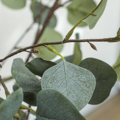 Sulu Set Of 2 Artificial Eucalyptus Style Trees With Silver Dollar Leaf Detail In Pots
