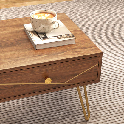 Susele Metal And Wooden Brown Rectangular Coffee Table With Drawers Gold Detail