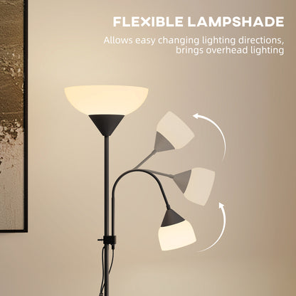 Rira Nido Metal Black LED Uplighter Floor Lamp With Adjustable Gooseneck