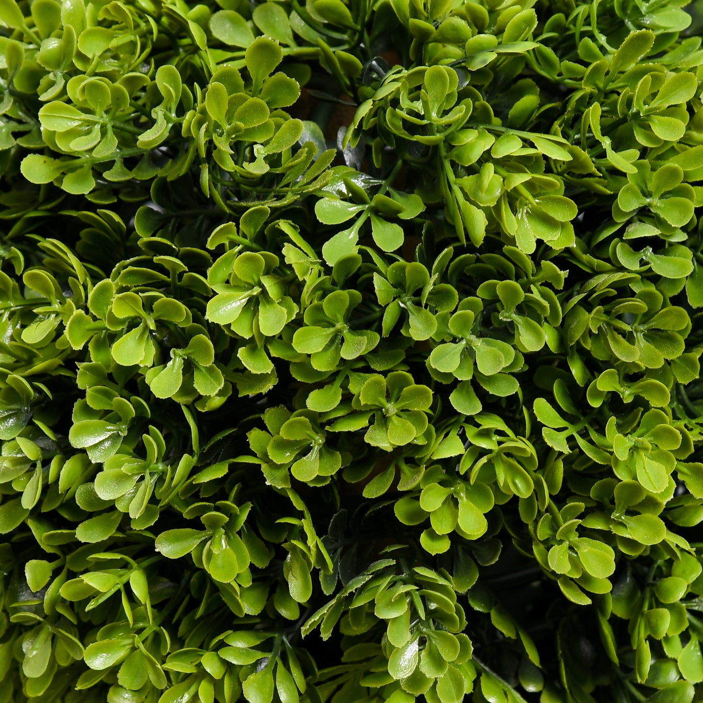Sasafa Tane Set Of 2 Light Green Artificial Boxwood Ball Topiary Trees In Pots H8 90cm