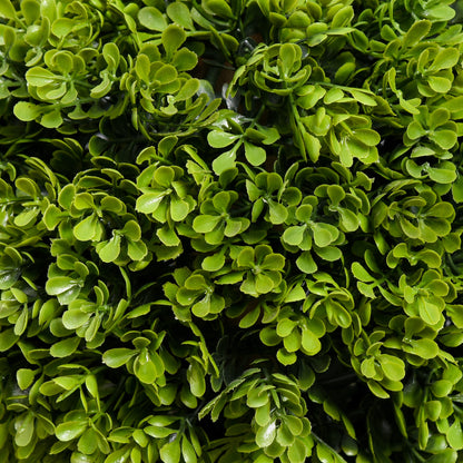 Sasafa Tane Set Of 2 Light Green Artificial Boxwood Ball Topiary Trees In Pots H8 90cm