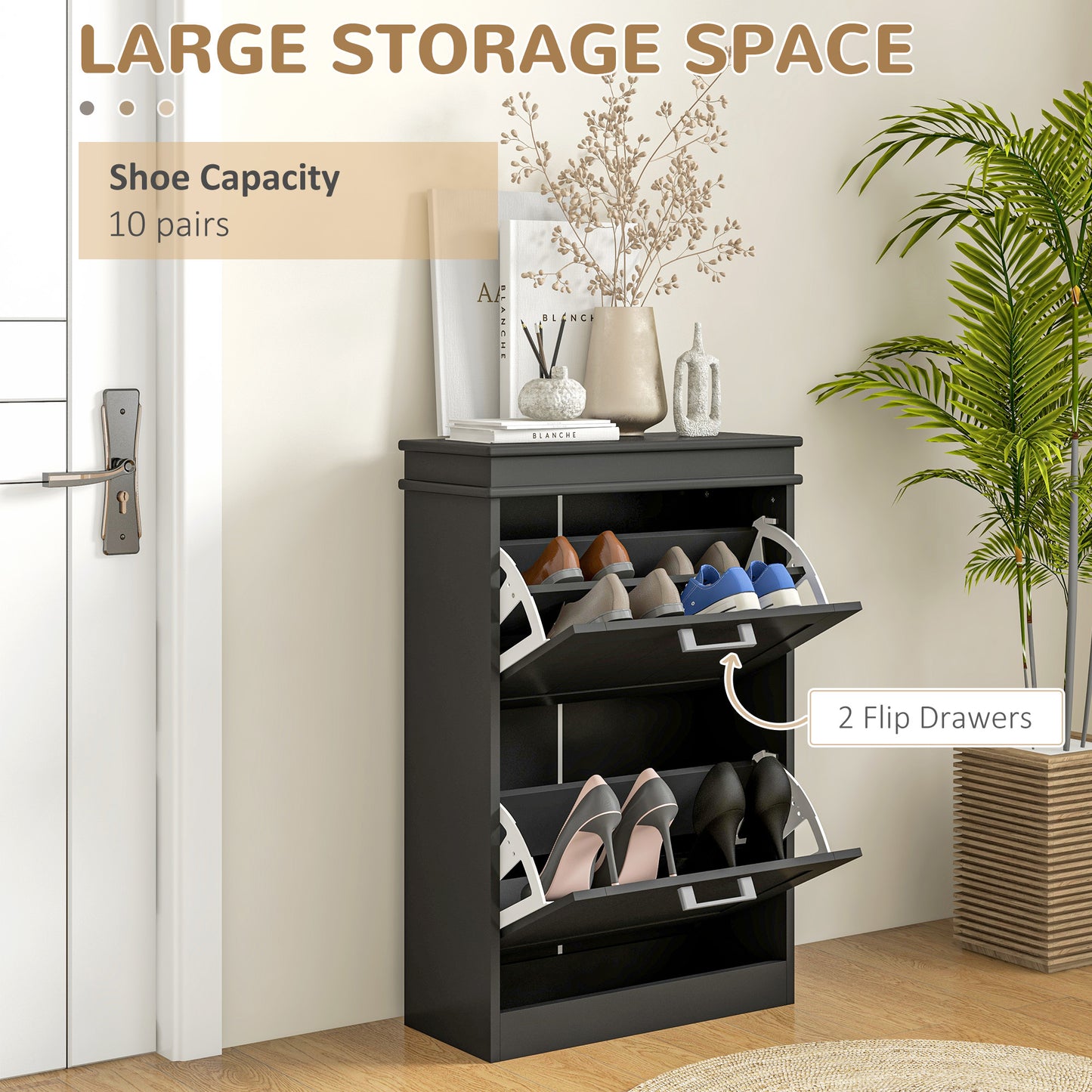 Fadivi Raka Wooden Black Minimal 2 Drawer Shoe Cabinet For 10 Pairs