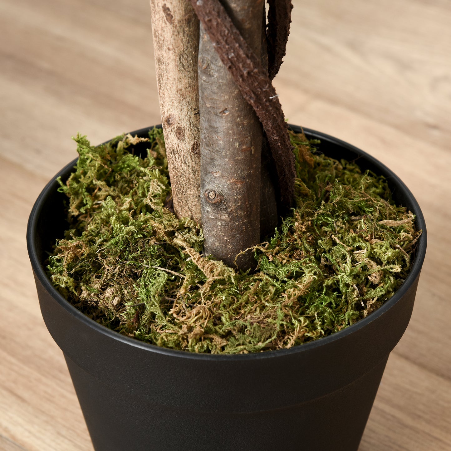 Keco Yona Artificial Indoor Green Plant In Decorative Pot H8 160cm